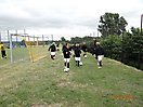 Kujawy Cup 2014 - U11_33